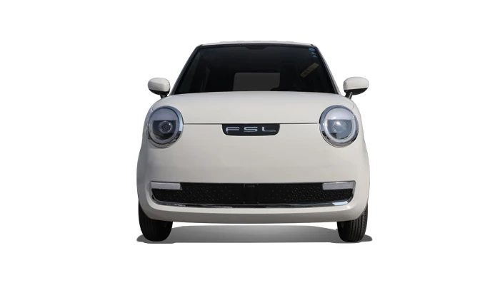 Micro Electric Vehicle