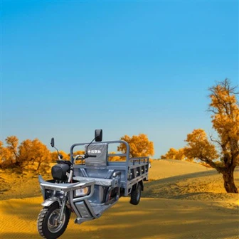 Hafif Elektrikli Kargo Üç Tekerlekli Bisikleti