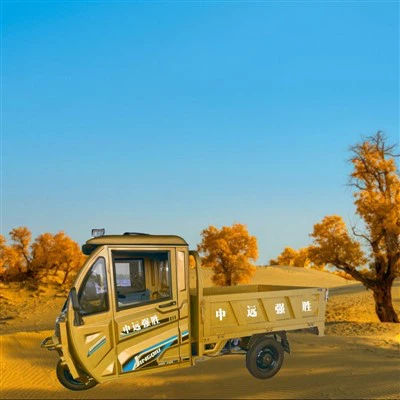 Negatif Ağır Hizmet Elektrikli Üç Tekerlekli Bisiklet