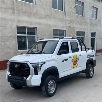 Yolcu ve Kargo Kamyonetleri